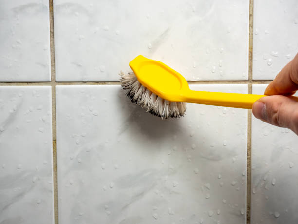 Best Residential Mold Remediation in Manvel, TX