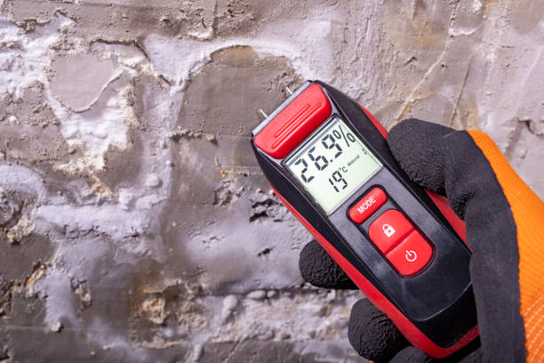 Best Residential Mold Remediation in Manvel, TX