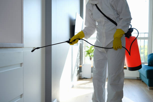 Best Crawl Space Mold Remediation in Manvel, TX