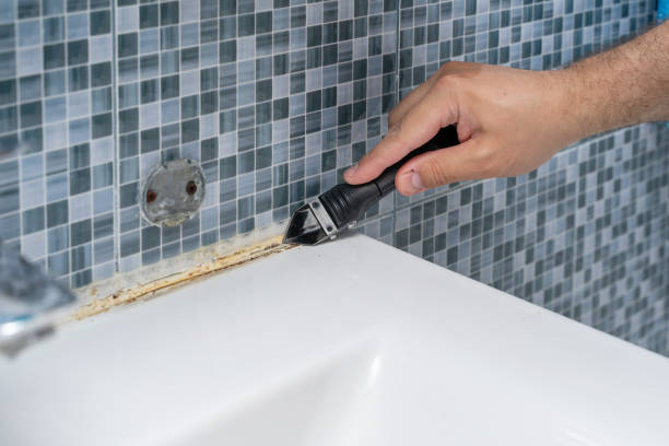 Best White Mold Remediation in Manvel, TX