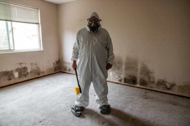 Best Mold Remediation for Specific Building Types in Manvel, TX